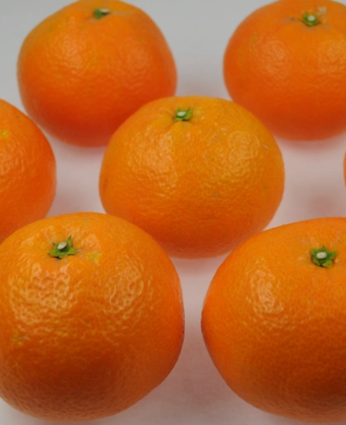 よーかん KAAREM - Dry Candied Japanese Citrus Peel Iyokan (いよかん