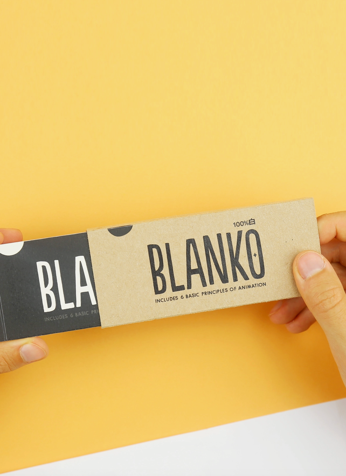 Blanko Freestyle Animation Flipbook / Make Your Own Flipbook